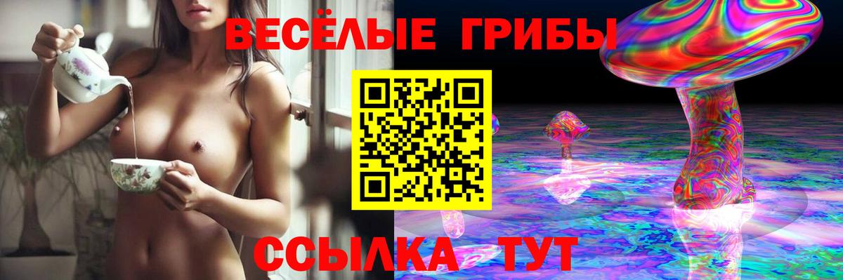 Псилоцибиновые грибы прущие грибы Лениногорск
